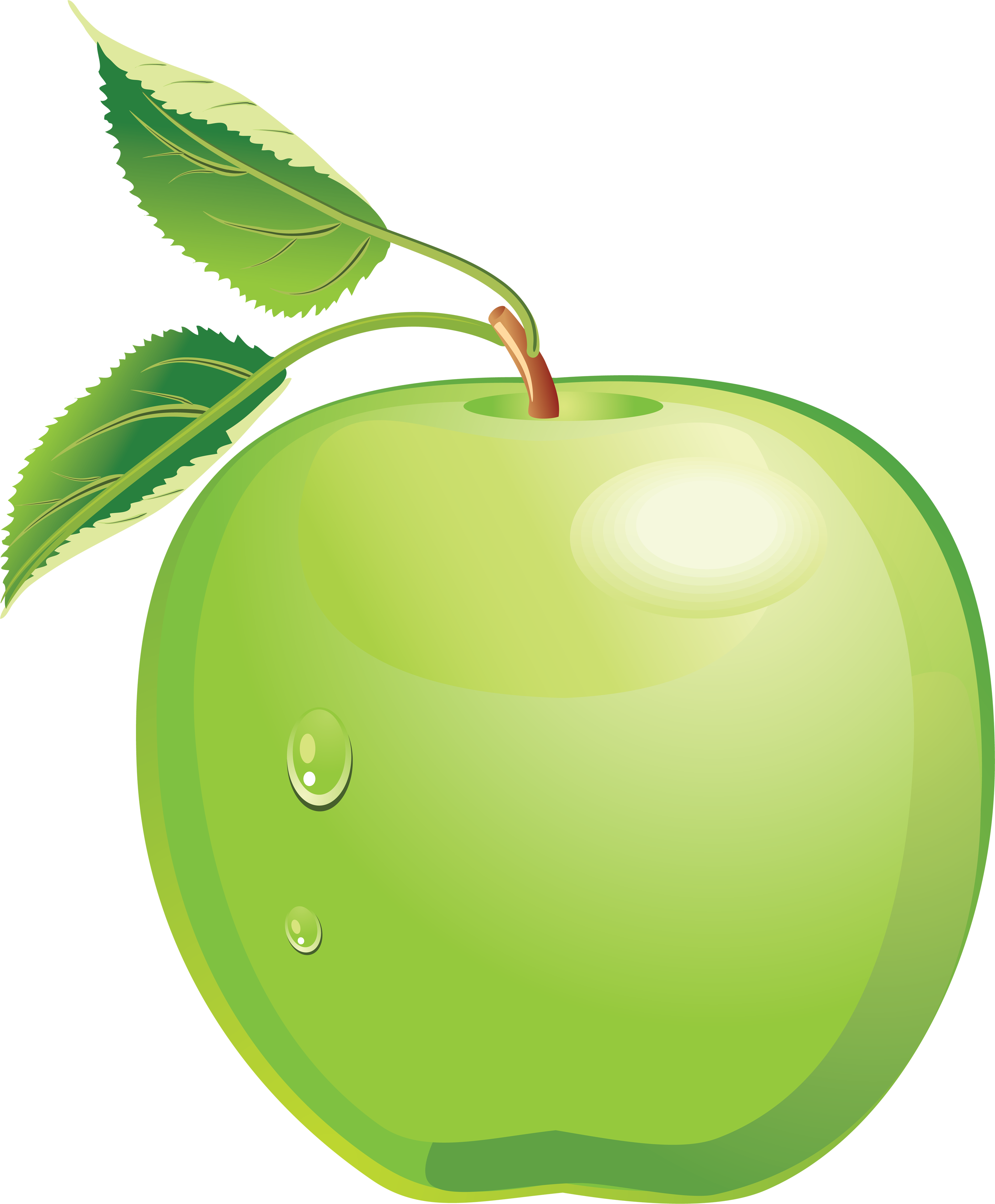 green apple clipart free - photo #28