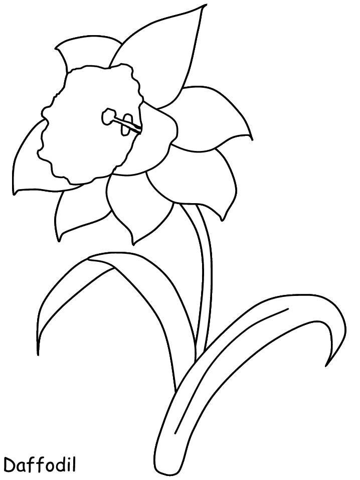 Daffodil Coloring Pages | Coloring Pages Blog