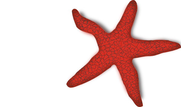 Addon Red Starfish clip art - vector clip art online, royalty free ...