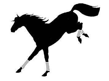 Window Sticker Bucking Horse - Quarter Horse Outfitters - ClipArt ...