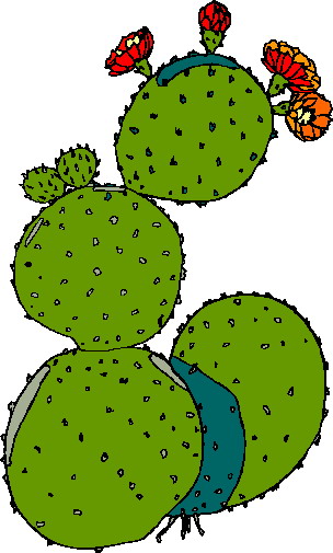 Cactus Clipart - ClipArt Best