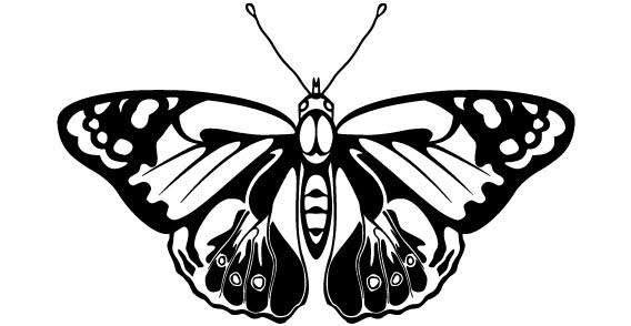Butterfly Vector Art - ClipArt Best
