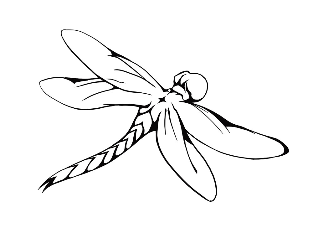 Dragonfly Line Drawing