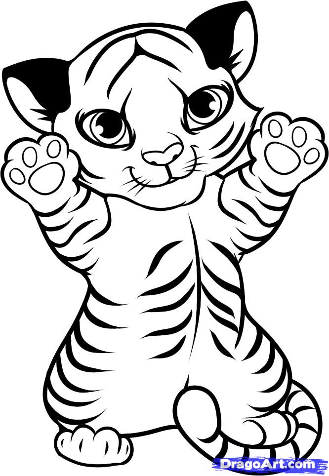 Draw a Tiger Cub, Tiger Cub, Step by Step, Drawing Sheets, Added ...
