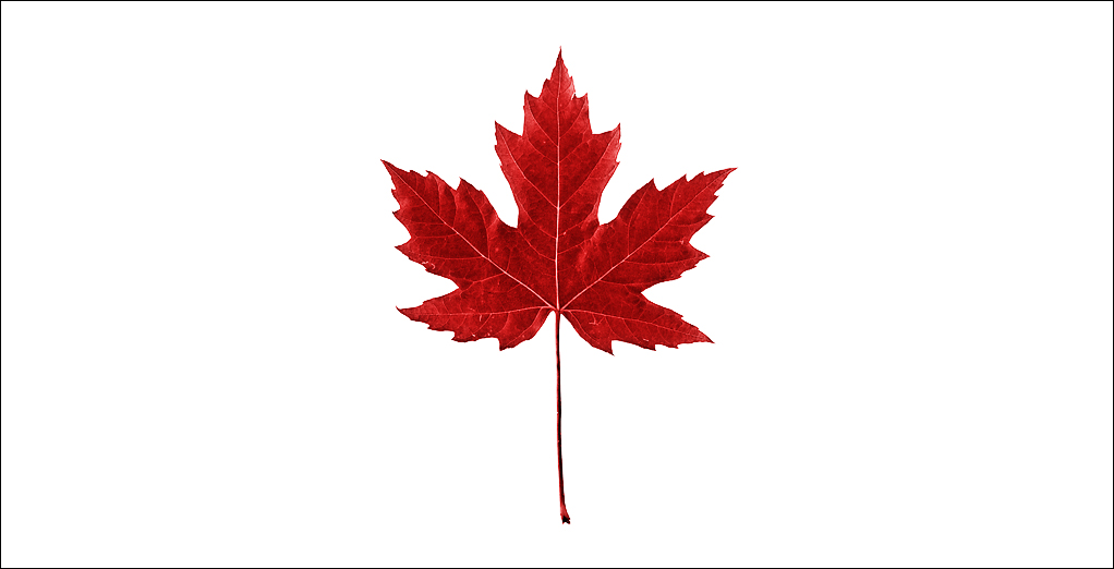 maple leaves clipart - photo #34