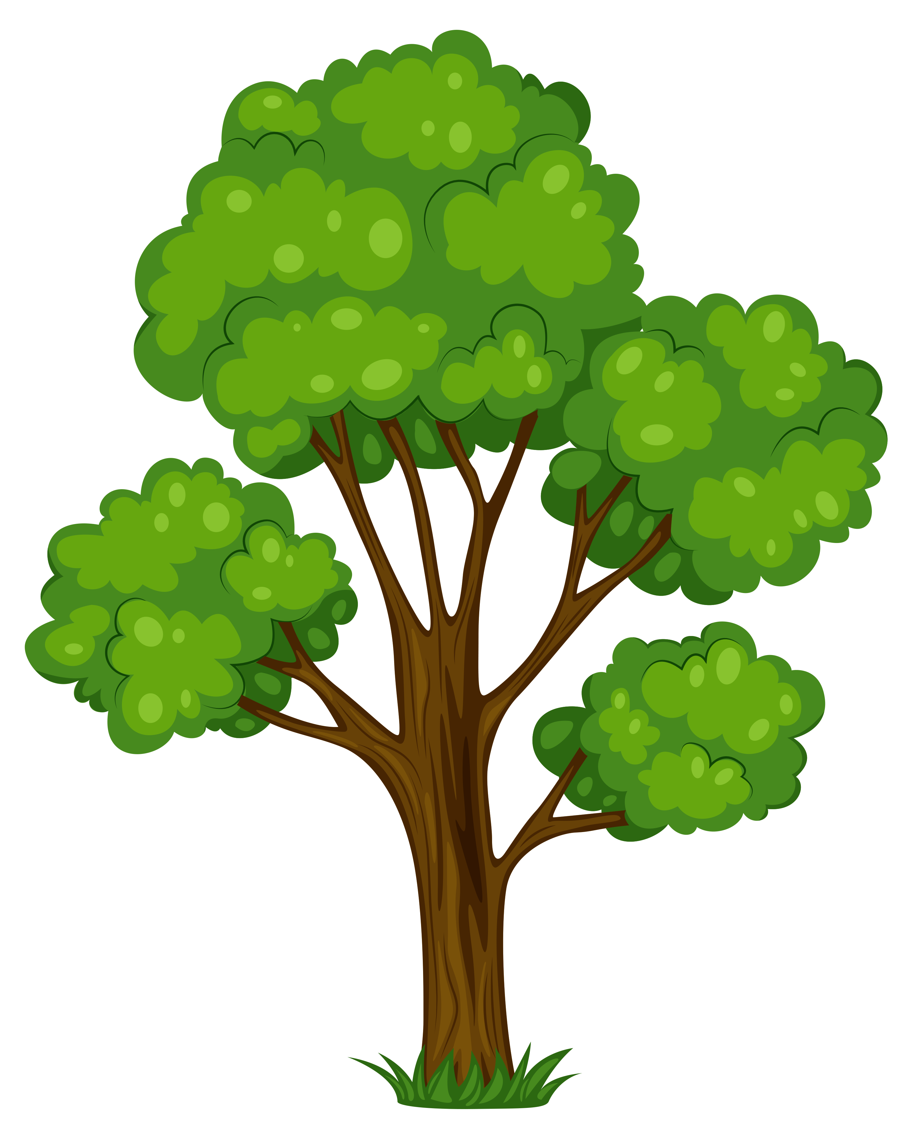 png clipart tree - photo #3