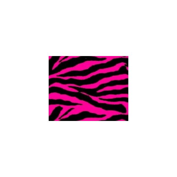 Pink And Black Zebra Wallpaper | coolstyle wallpapers.