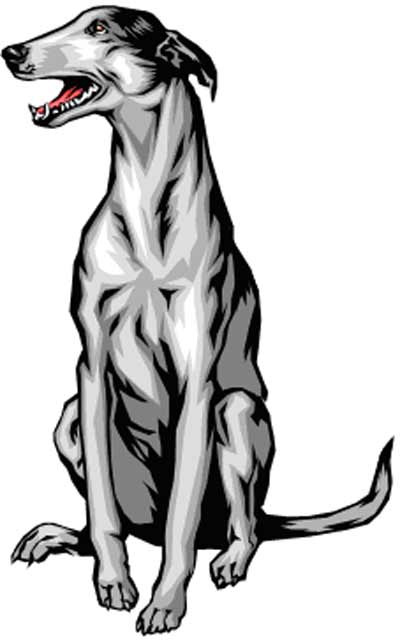 Pix For > Greyhound Clipart