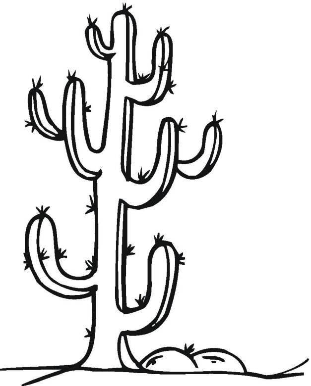 Cactus Coloring Page Images & Pictures - Becuo