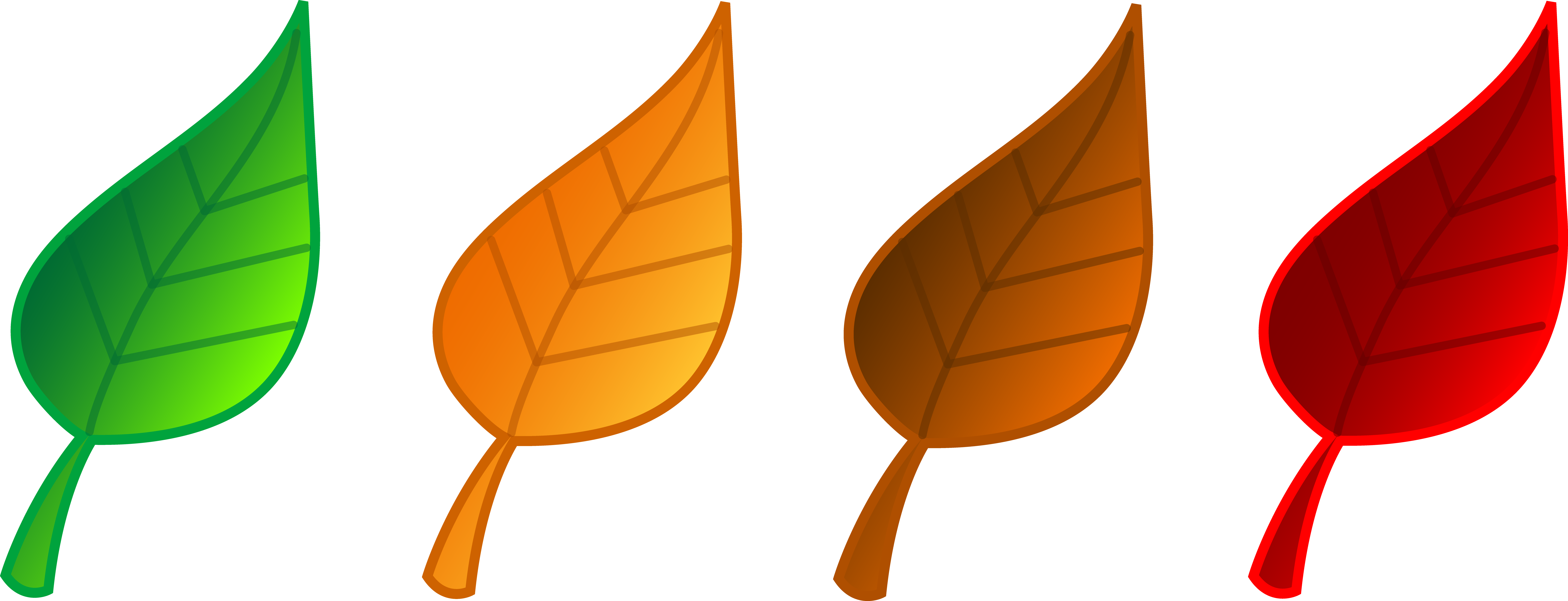 clip art tree leaf - photo #49