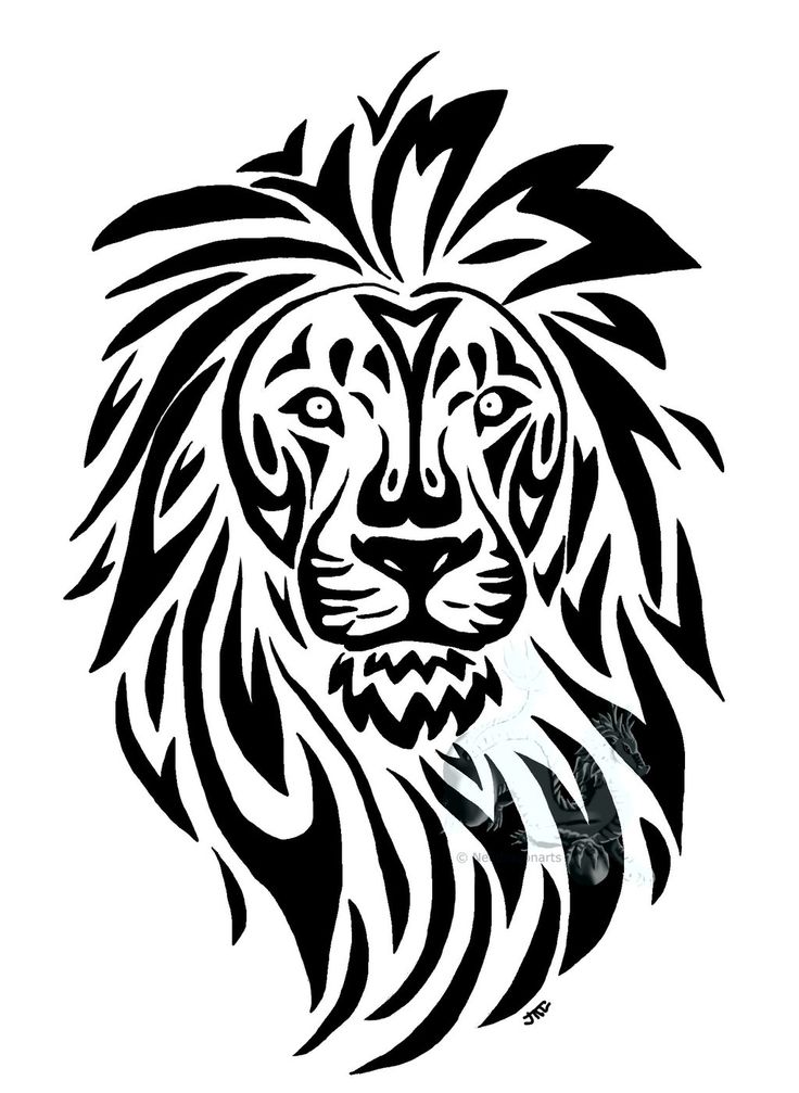 lion line drawing-tattoo?*vector* | Tactile Light--graphics, clipart,…