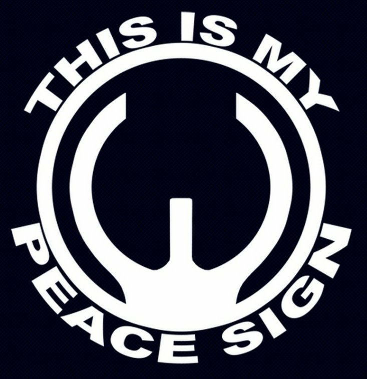 This is My Peace Sign Decal, gun control decals, gun control ...