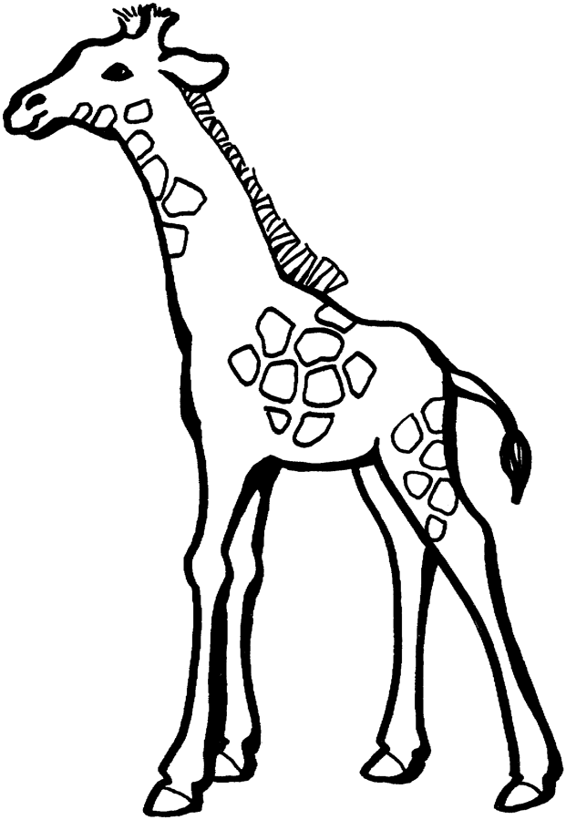 More zoo animal coloring pages | Free printable downloads from ...
