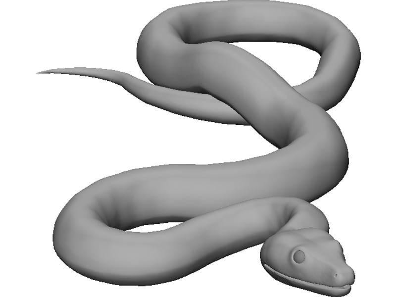 Snake 3D Model Download | 3D CAD Browser