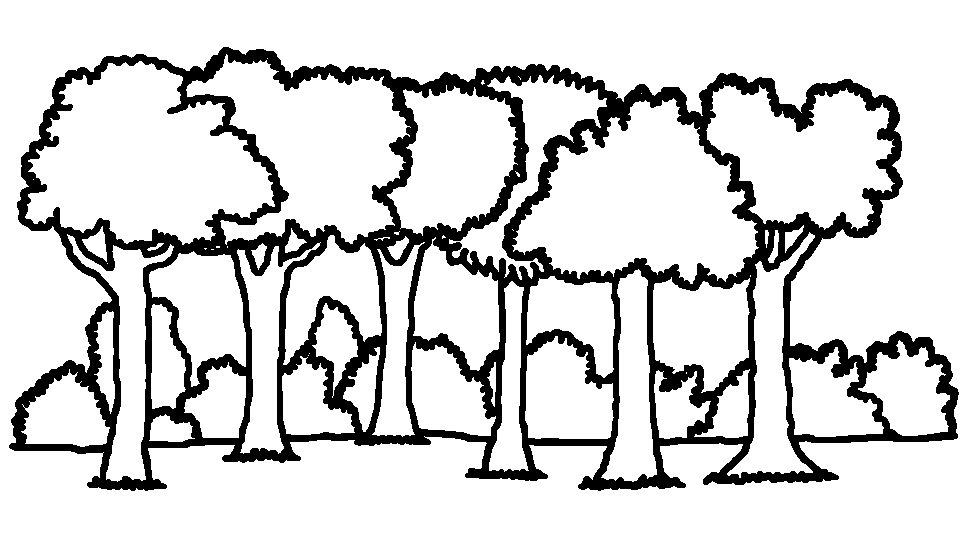 rainforest walking trees coloring pages - photo #15