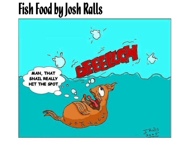 Fish Food Cartoon | lol-