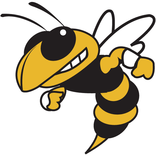 Georgia Tech Yellow Jackets Alternate Logo - NCAA Division I (d-h ...