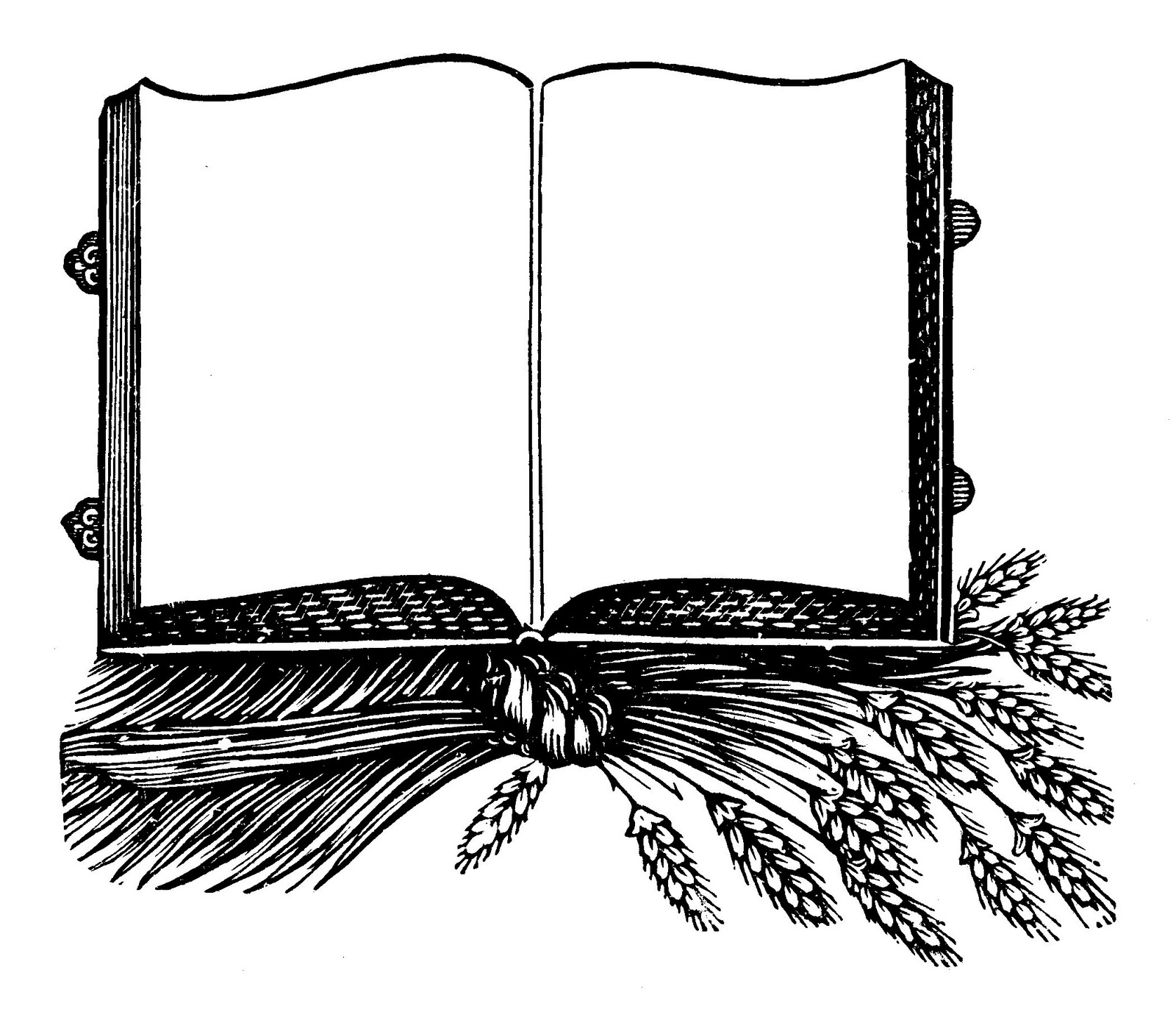 flat open book clipart - photo #33