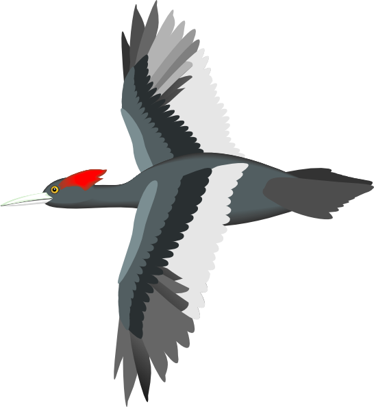 Flying Bird clip art - vector clip art online, royalty free ...