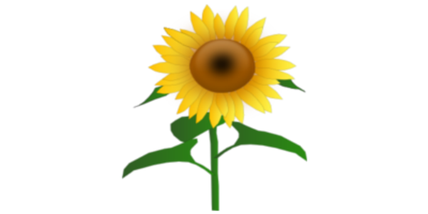 Sunflower image - vector clip art online, royalty free & public domain