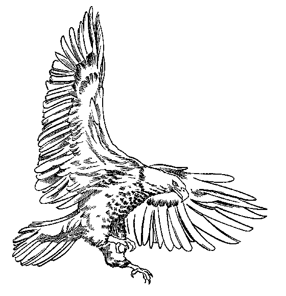 Eagle Flying Clipart Black And White | Clipart Panda - Free ...