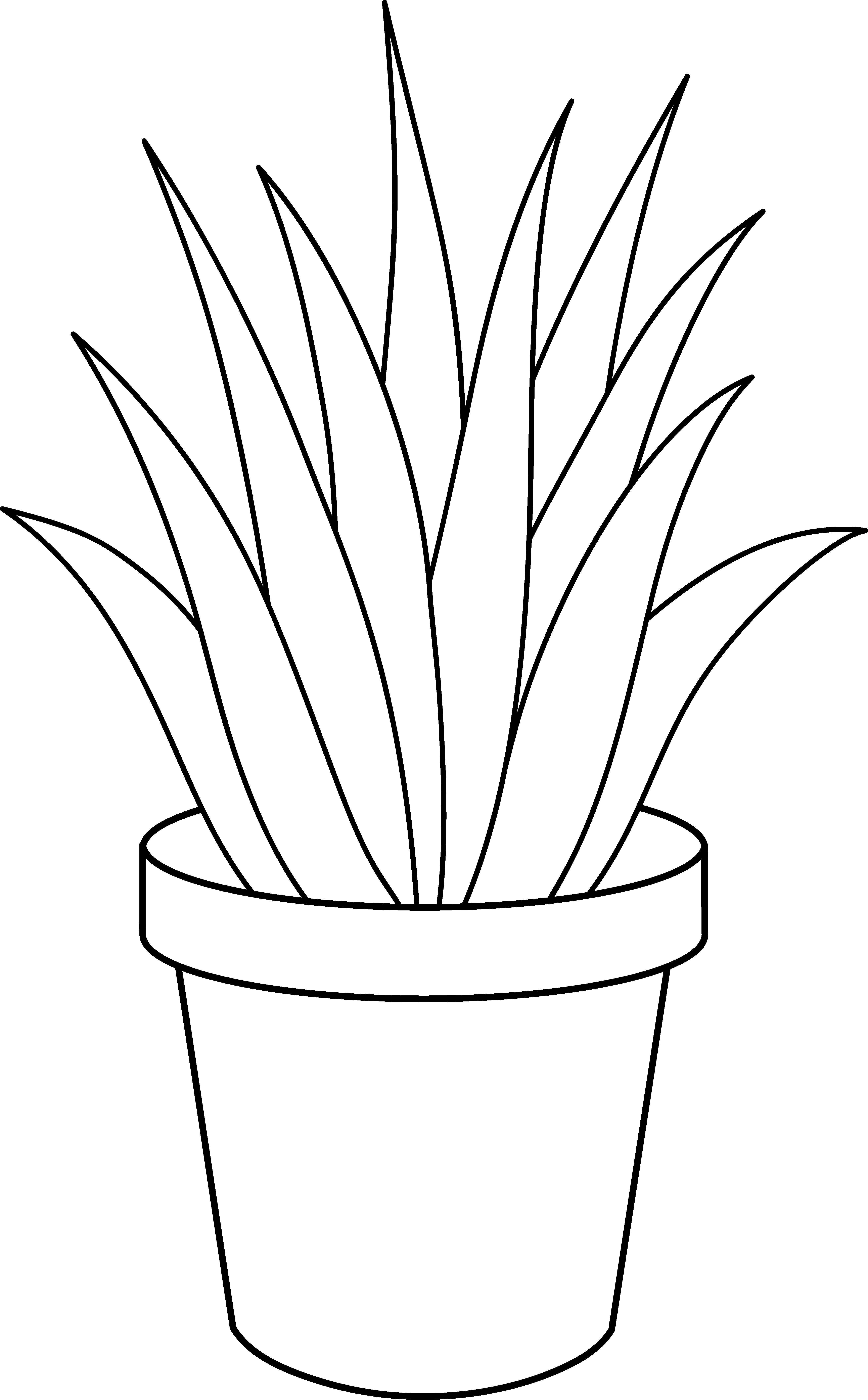 Potted Plant - Cliparts.co