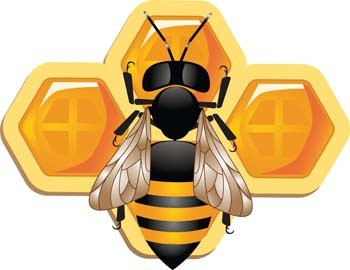 Honey bee Free vector for free download (about 29 files).
