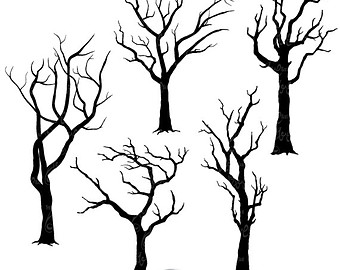 Popular items for branches clipart on Etsy