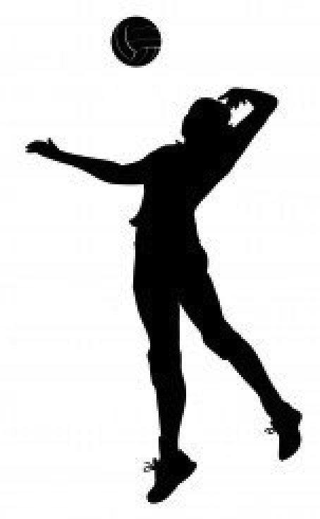 free black and white volleyball clip art - photo #47