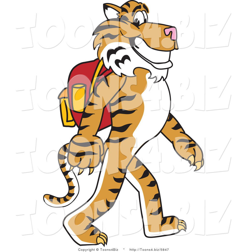Vector Illustration of a Cartoon Tiger Mascot Walking to School by ...