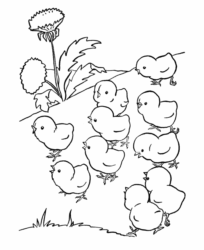 Farm animal chicken coloring page | baby chicks out for a walk ...