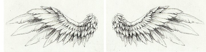 Angel wings drawing | Wings | Pinterest
