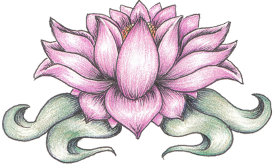 Lotus Flower Drawing Tattoo - Gallery