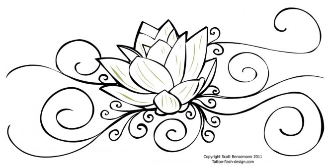 flower drawing lotus 25