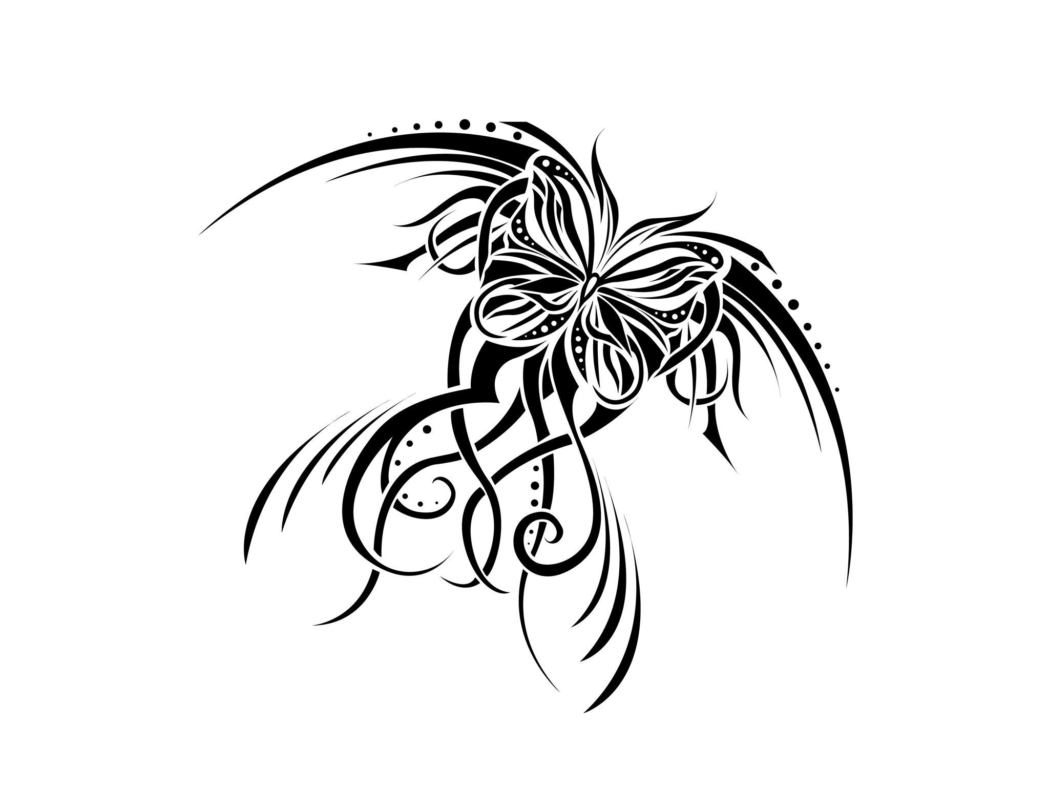 cool butterfly drawings clipart best cliparts co cool butterfly drawings clipart best cliparts co