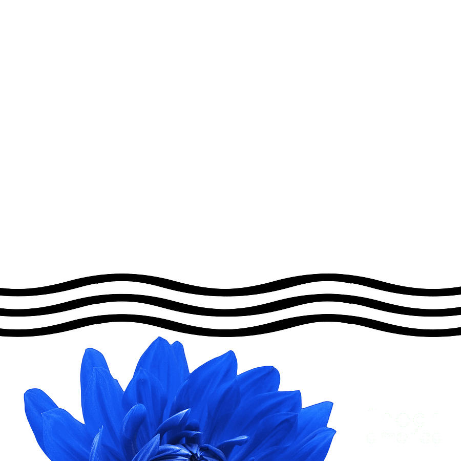 Dahlia Flower And Wavy Lines Triptych Canvas 1 - Blue by Natalie ...