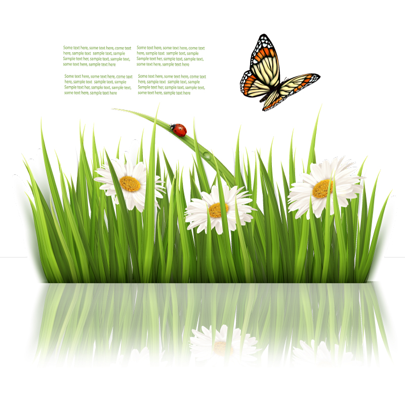 Grass | Free Vector Graphic Download