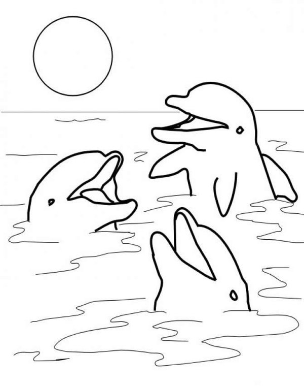 Free Printable Winter The Dolphin Coloring Pages for Kids / 1000+ ...