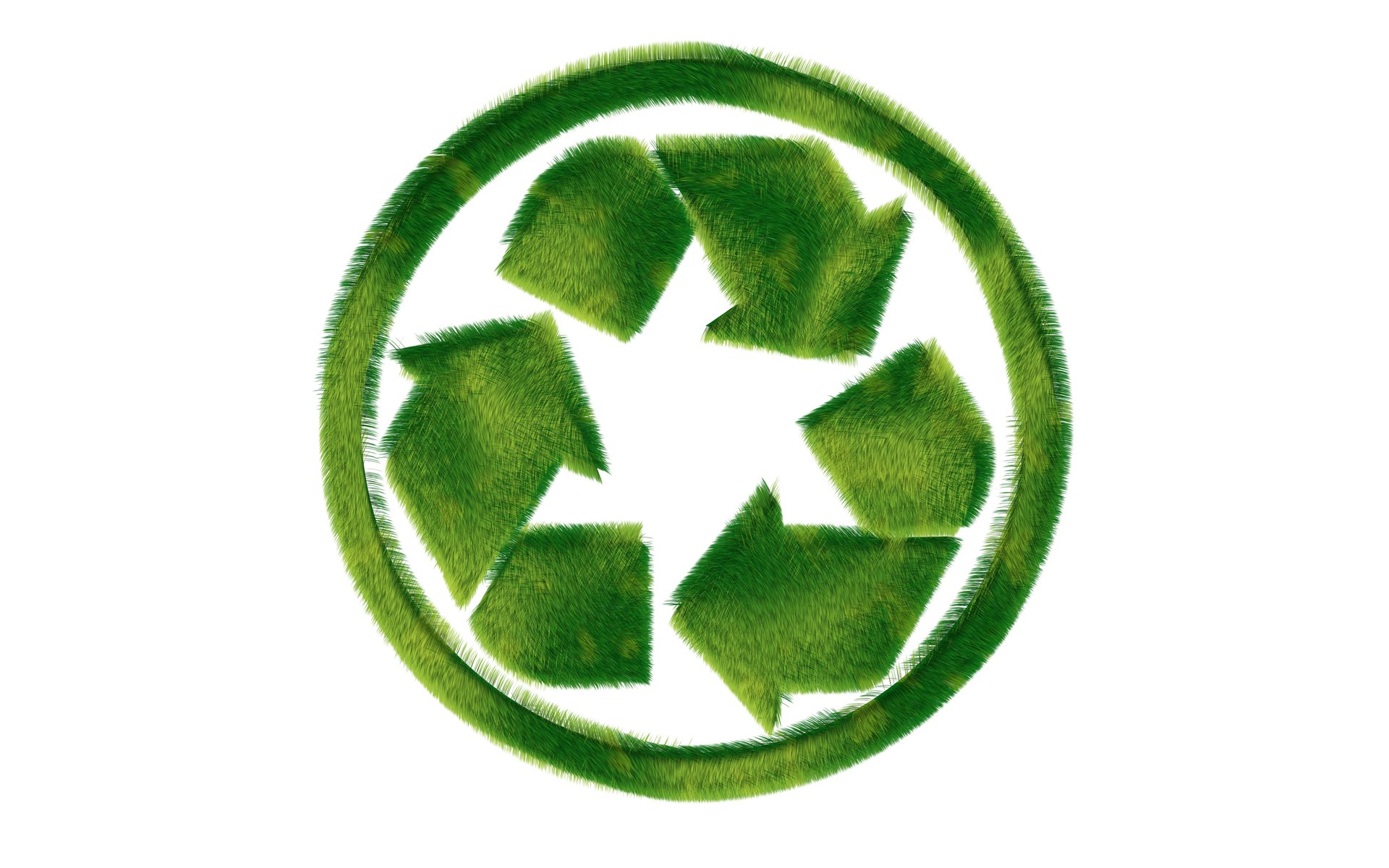 Images For > Green Recycle Logo