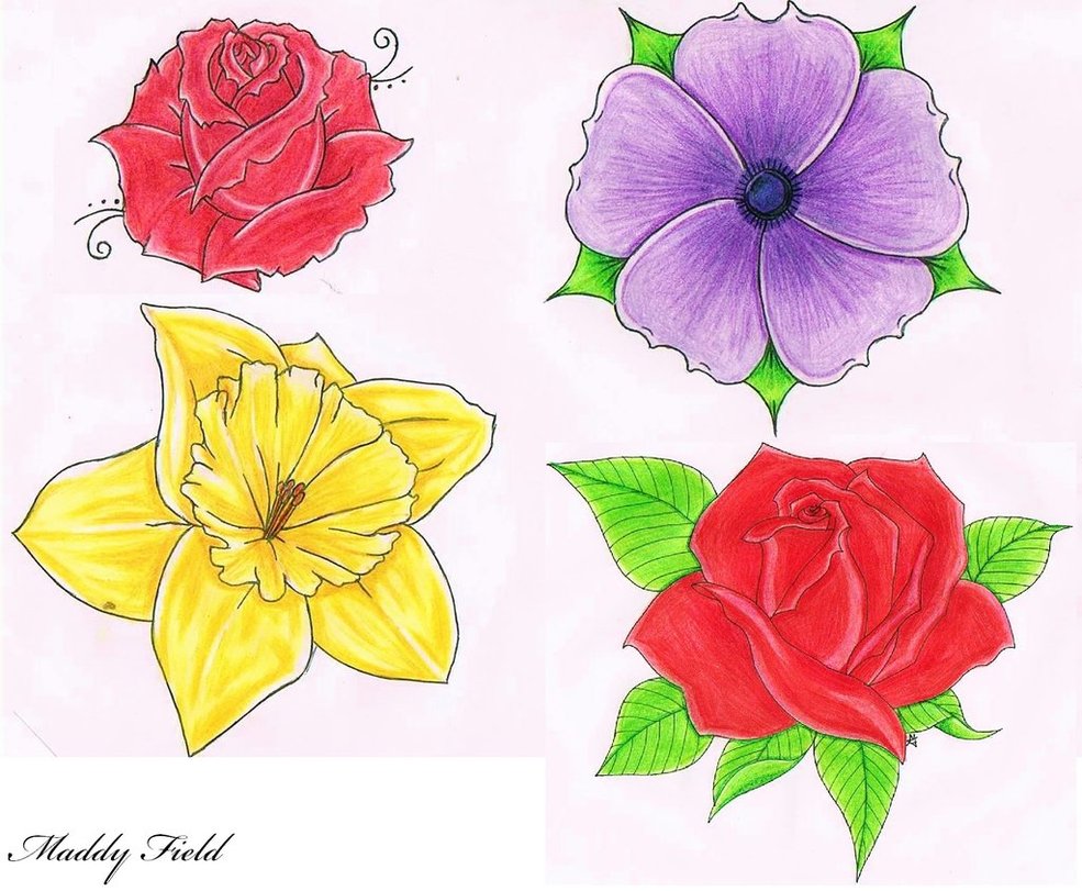 Flower Drawings by MaddyField on DeviantArt