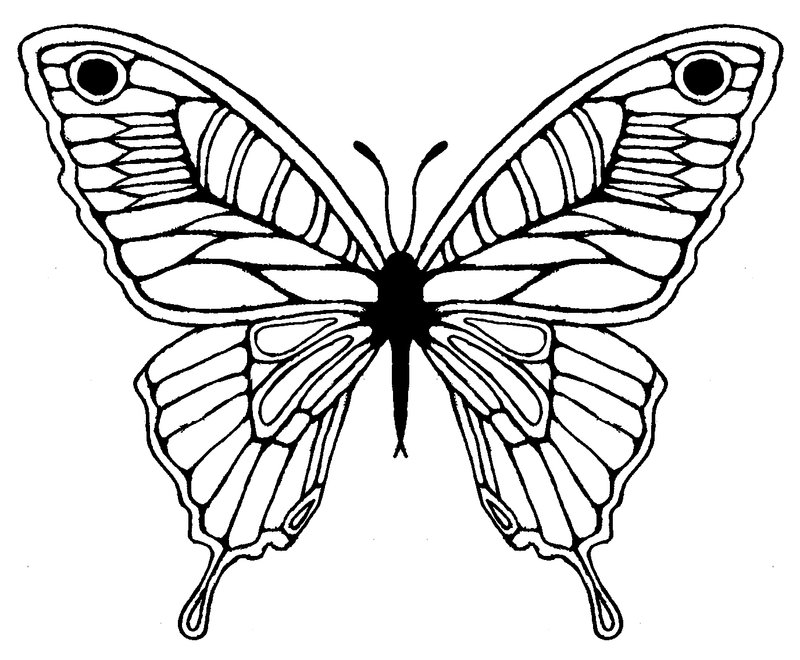 Butterfly Sketch Tattoo Design Black and white | Tattoomagz.com ...