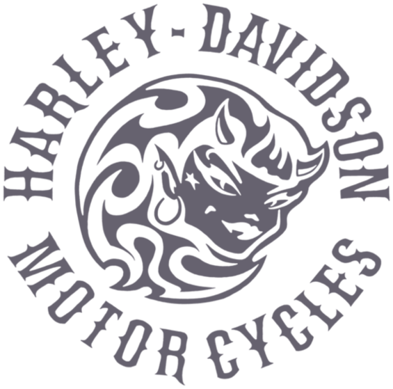 Harley Davidson She Devil Chopper 500 X 375 129 Kb Jpeg | Top ...