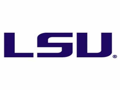 Download lsu 89904 Sports mobile wallpapers