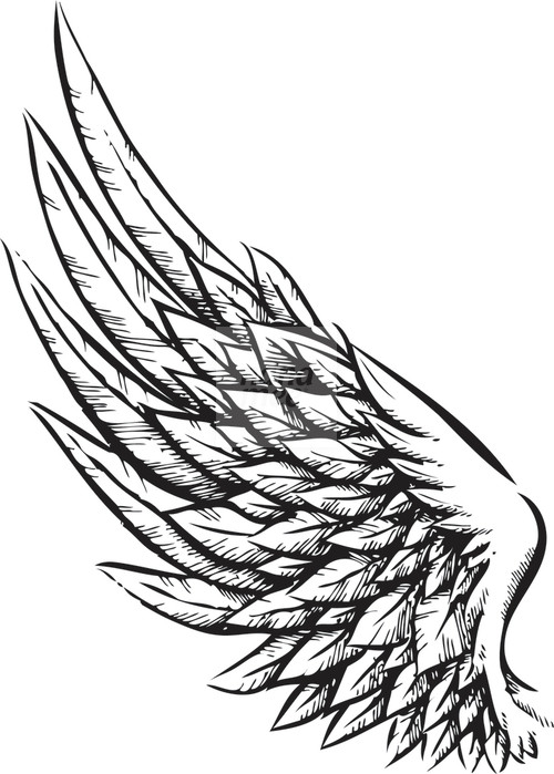 Wings Drawing - Gallery