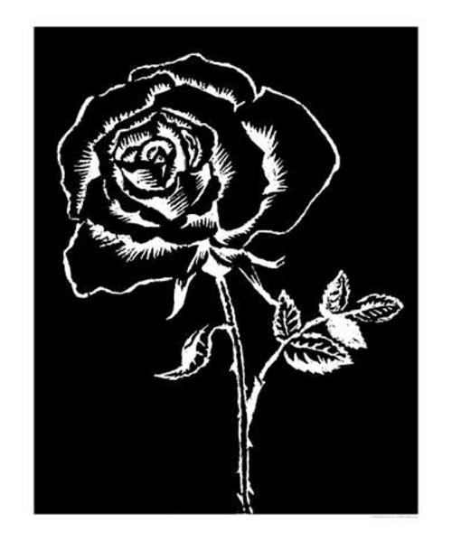 Black n White rose photo sienweejackass' photos - Buzznet