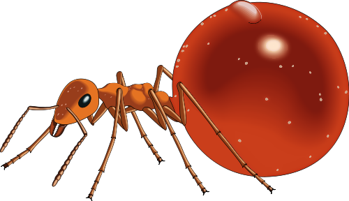 Honeypot Ant Clip Art Download
