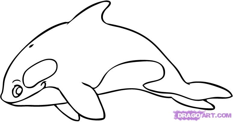 How to Draw a Cartoon Killer Whale, Step by Step, Cartoon Animals ...