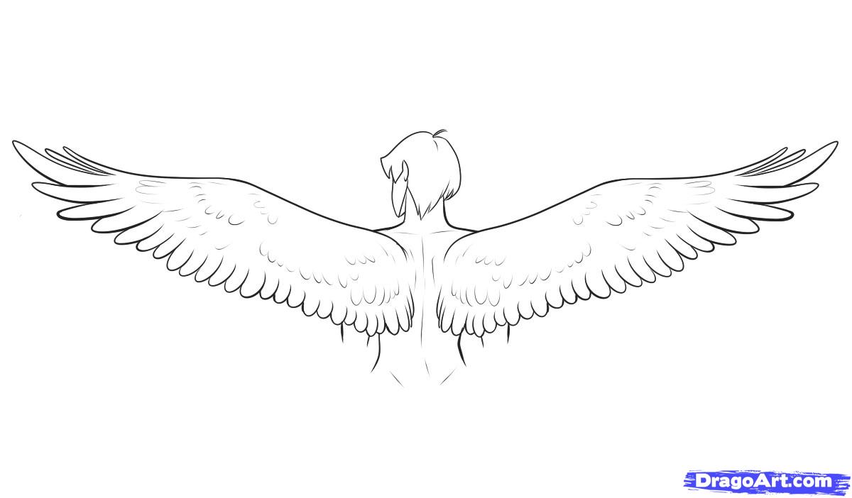 Drawing Wings, Step by Step, Fantasy Characters, Fantasy, FREE ...