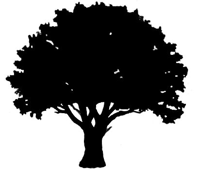 tree of life black and white clipart - Google Search | * Tree ...