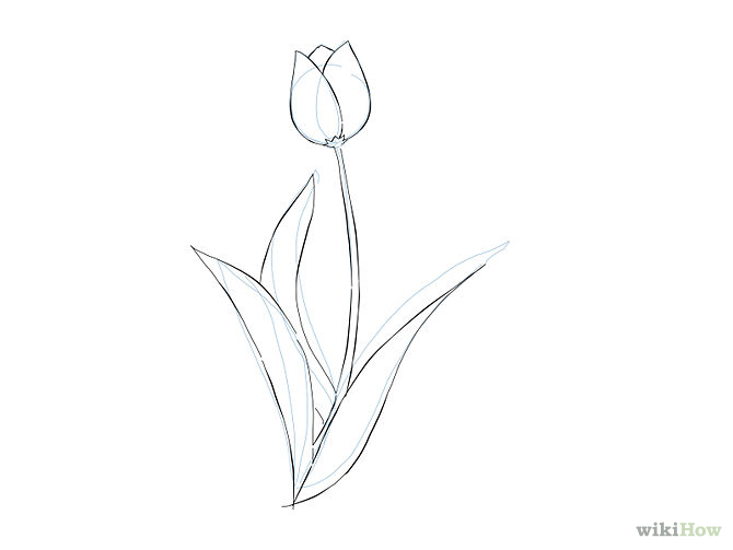 Simple Flower Sketch - Cliparts.co